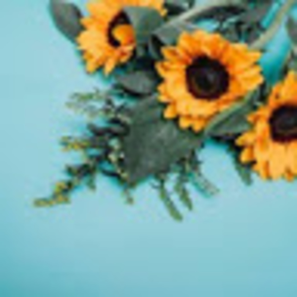 Meet your Posher, Kaitlyn